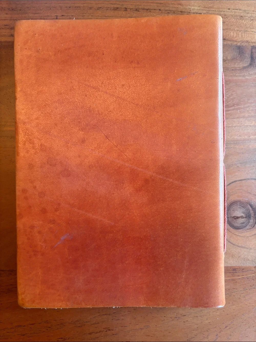 Embossed Elephant Leather Journal - Tan